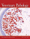 VETERINARY PATHOLOGY雜志封面